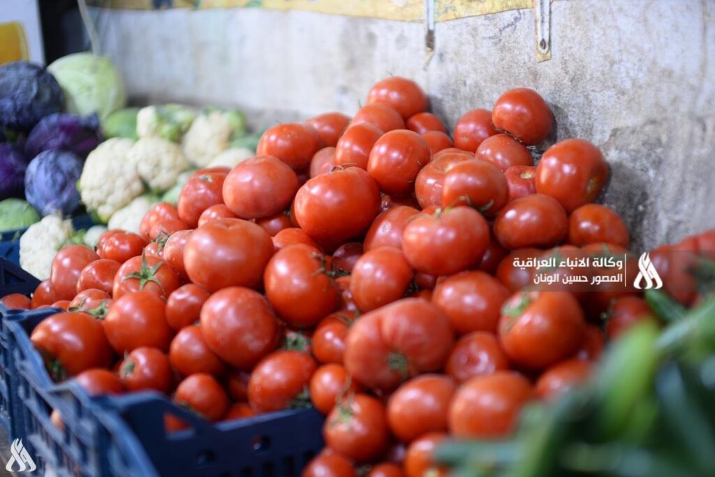 الزراعة تعلن الاكتفاء الذاتي لمحصول الطماطم في النجف الأشرف