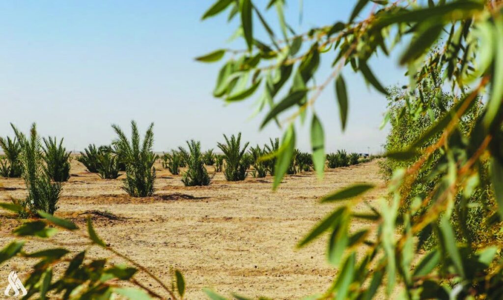 الزراعة تعلن نجاح مشاريع استثمار الصحراء في 3 محافظات » وكالة الأنباء العراقية