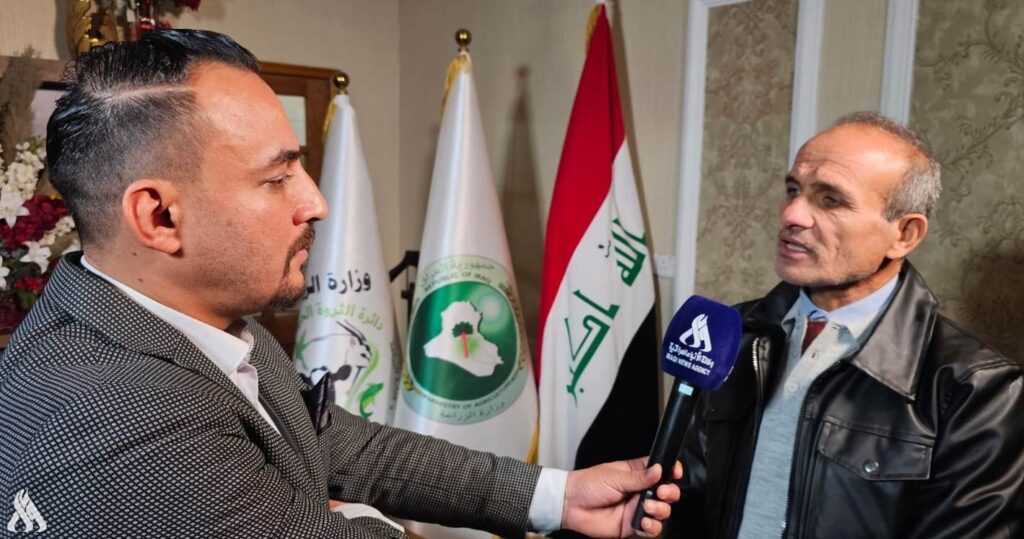 أصدرنا موافقات باستيراد 17 ألف عجل وارتفاع أسعار اللحوم غير مبرر » وكالة الأنباء العراقية