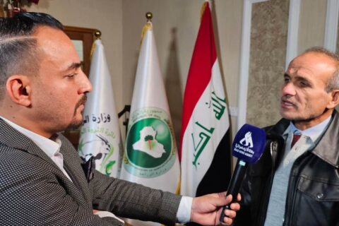 أصدرنا موافقات باستيراد 17 ألف عجل وارتفاع أسعار اللحوم غير مبرر » وكالة الأنباء العراقية